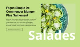 Manger Plus Sainement – Modèle Premium