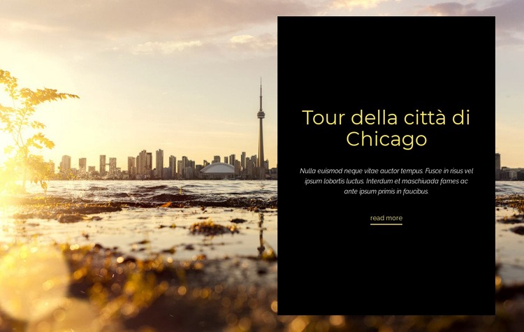 Tour della città di Chicago Mockup del sito web