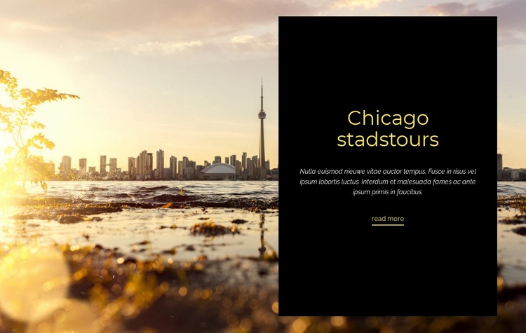 Chicago stadstours Website ontwerp