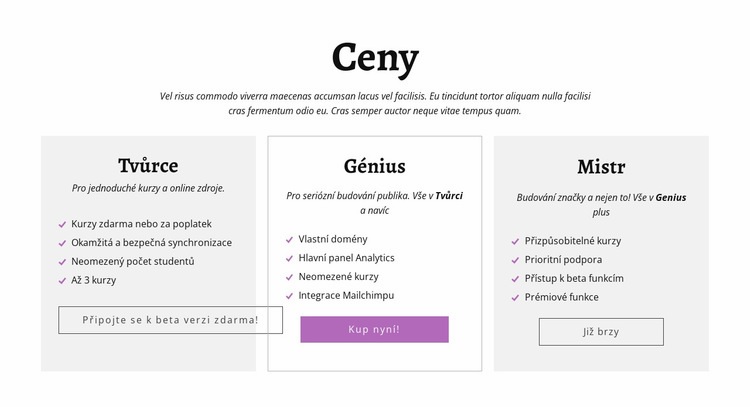 Další cenové plány pro autory a reklamy Téma WordPress