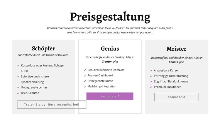 Andere Preispläne für Creator-Anzeigen Website Builder-Vorlagen