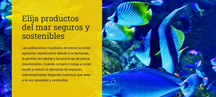 Elija productos pesqueros sostenibles y seguros Plantillas de creación de sitios web