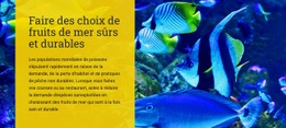 Faites Des Choix De Fruits De Mer Sûrs Et Durables