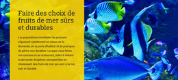 Faites Des Choix De Fruits De Mer Sûrs Et Durables