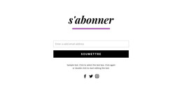 Modèle CSS Pour Formulaire D'Abonnement Et Icônes Sociales