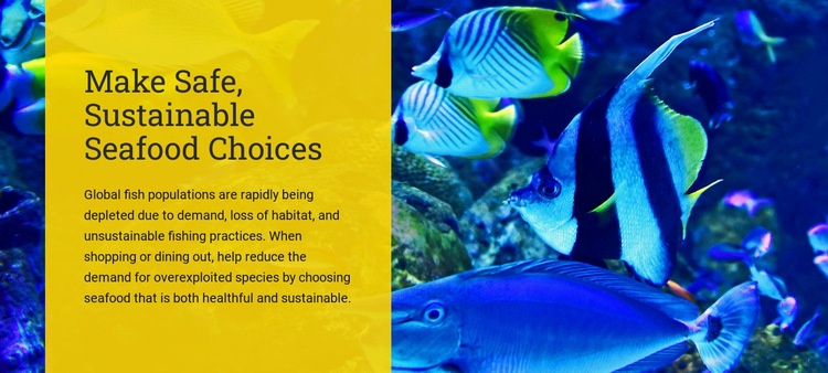 Válasszon biztonságos, fenntartható tenger gyümölcseit Html Weboldal készítő
