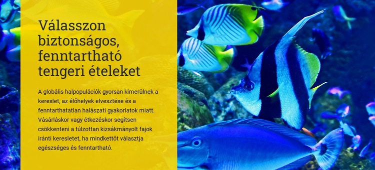 Válasszon biztonságos, fenntartható tenger gyümölcseit Weboldal sablon