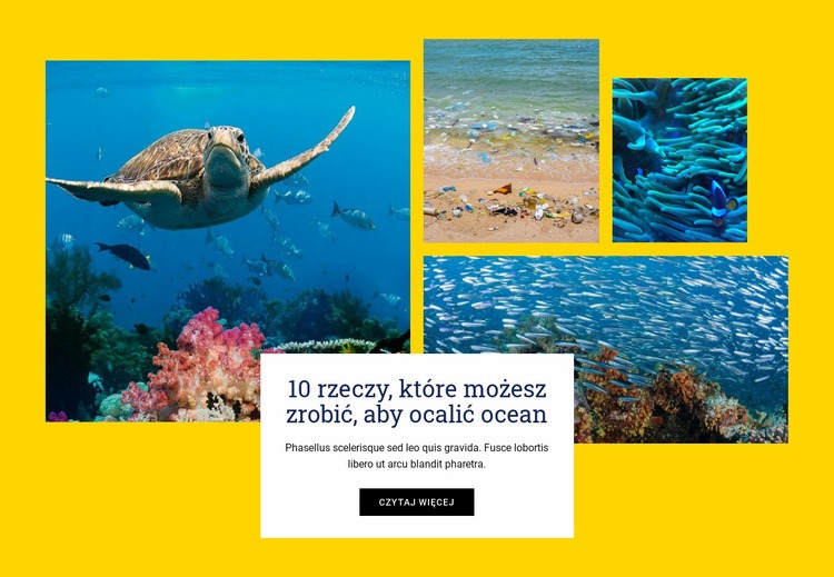 Rzeczy ratują ocean Kreator witryn internetowych HTML