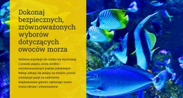 Dokonuj Bezpiecznych, Zrównoważonych Wyborów Z Owoców Morza Program Partnerski