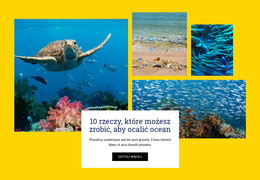 Rzeczy Ratują Ocean Agencja Kreatywna