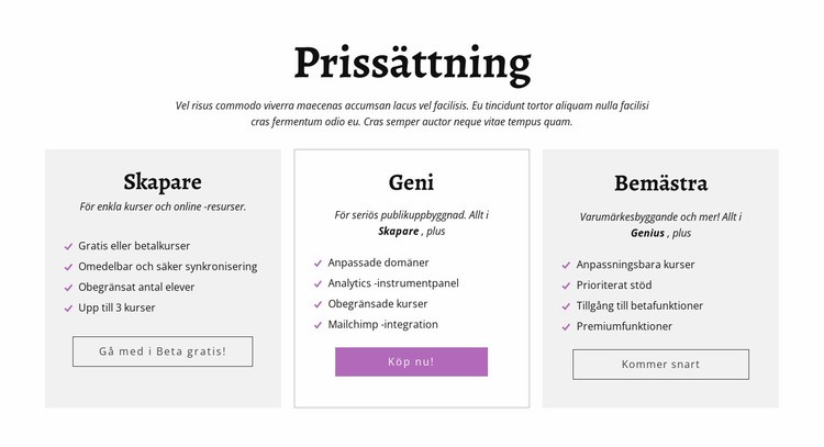 Creator ad andra prisplaner Hemsidedesign