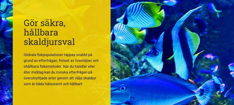Gör säkra hållbara val av skaldjur Mall
