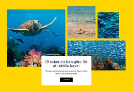 Saker Att Spara Ocean - Gratis Webbplatsmall