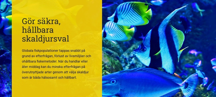 Gör säkra hållbara val av skaldjur Webbplats mall