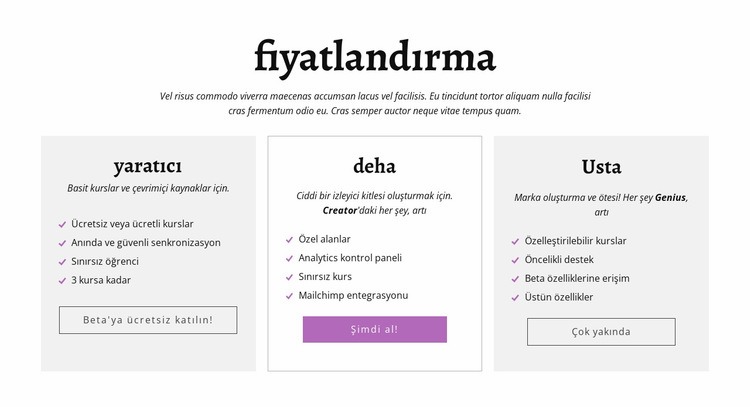 İçerik oluşturucu reklamı diğer fiyatlandırma planları Açılış sayfası