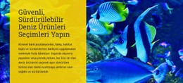 Güvenli, Sürdürülebilir Deniz Ürünleri Seçimleri Yapın Temiz Ve Minimal Şablon