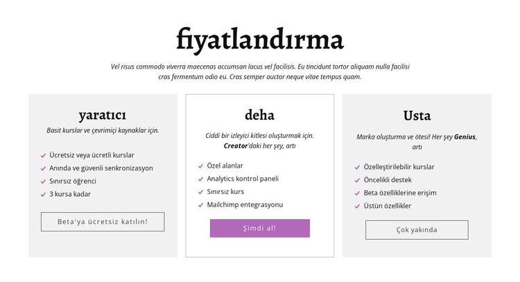 İçerik oluşturucu reklamı diğer fiyatlandırma planları HTML Şablonu