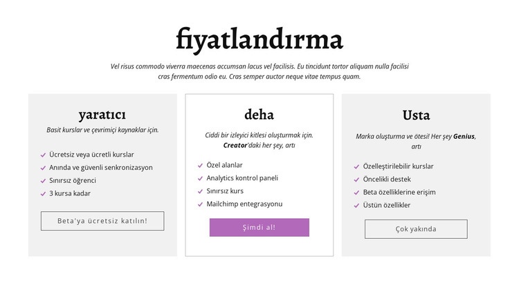 İçerik oluşturucu reklamı diğer fiyatlandırma planları Html Web Sitesi Oluşturucu