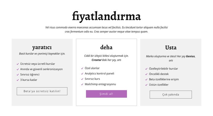 İçerik oluşturucu reklamı diğer fiyatlandırma planları Web sitesi tasarımı