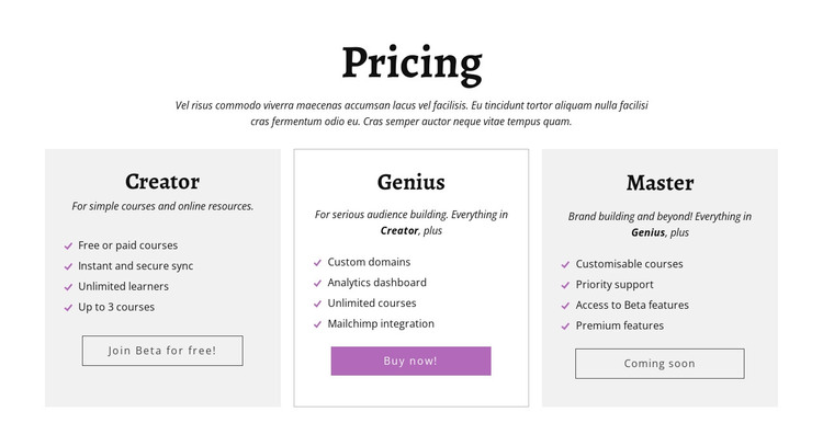 Creator ad other pricing plans Web Design