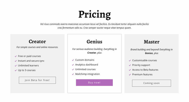 Creator ad other pricing plans Website Mockup