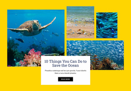 Things Save Ocean - Free Website Design