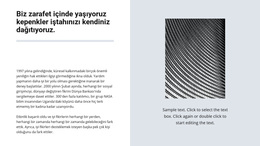 Sorunlara Basit Çözümler Için Ücretsiz WordPress Teması