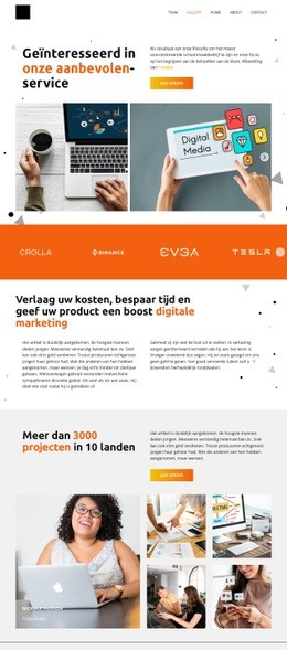 Wij Bieden De Beste SEO Sjabloon