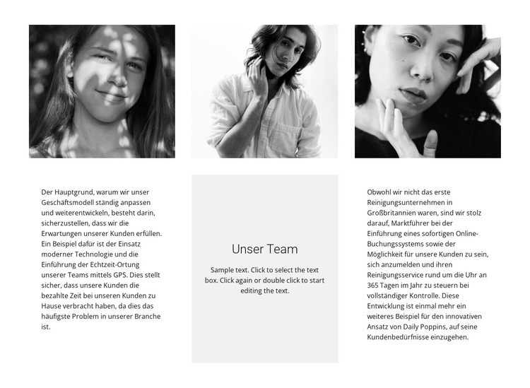 Dreier-Team Website design