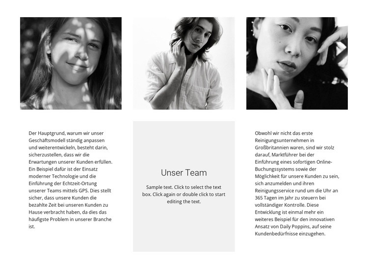 Dreier-Team Landing Page