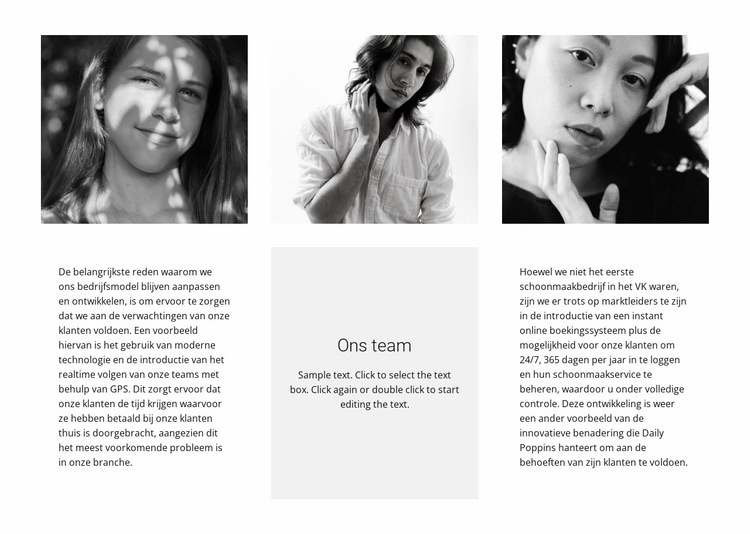 Team van drie Website mockup