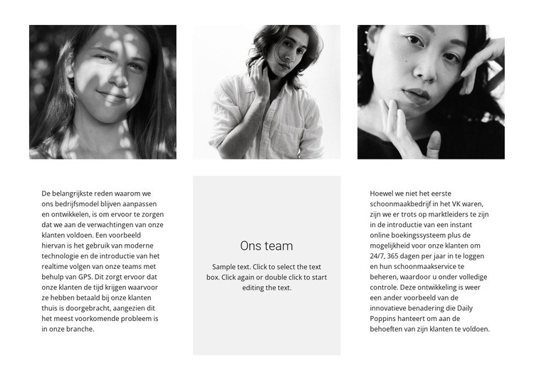 Team van drie Website ontwerp