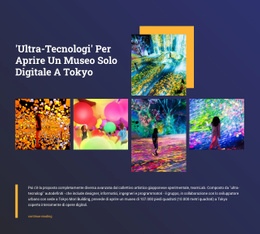 Museo Digitale A Tokyo - Progettazione Di Siti Web Reattivi