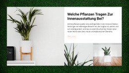 Häuser Pflanzen - HTML Designer