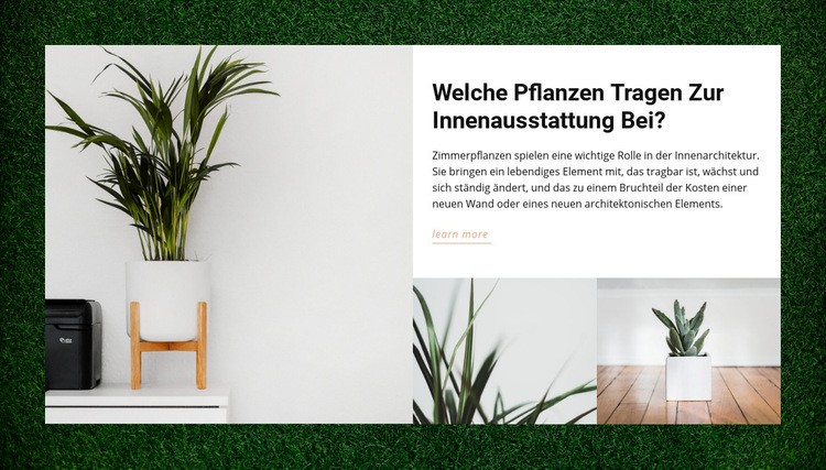 Häuser Pflanzen Website design