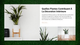 Maisons Plantes - Conception De Sites Web Gratuite