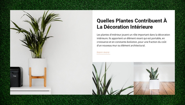 Maisons plantes Conception de site Web