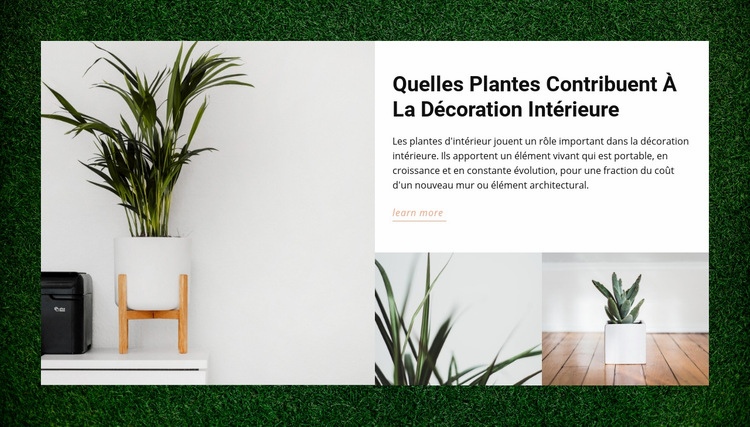 Maisons plantes Maquette de site Web