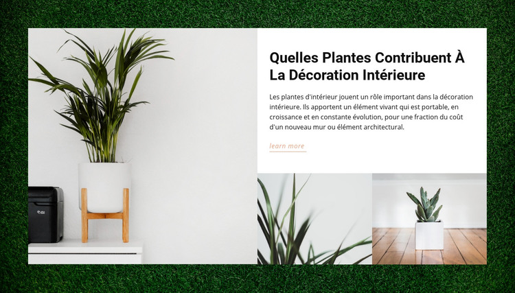 Maisons plantes Modèle HTML
