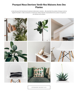 Thème WordPress Polyvalent Pour Maisons Plantesmodifier