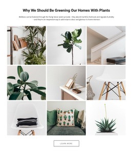 Homes PlantsEdit - Html Code Editor