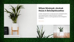 Otthon Növények – A Legjobb HTML-Sablon
