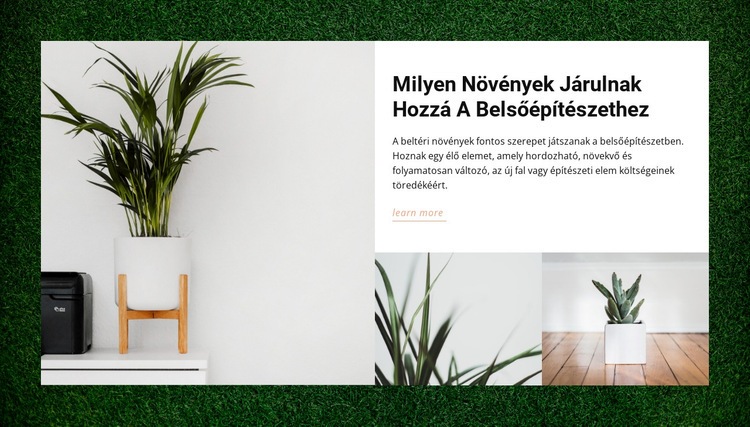 Otthon növények HTML Sablon