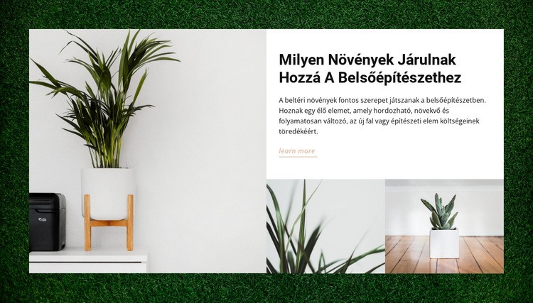 Otthon növények Weboldal tervezés