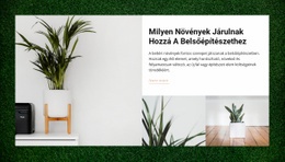 Otthon Növények – Modern WordPress Téma
