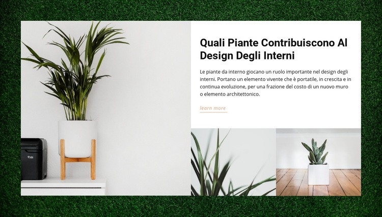 Piante domestiche Modello HTML5