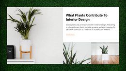 Homes Plants Google Fonts