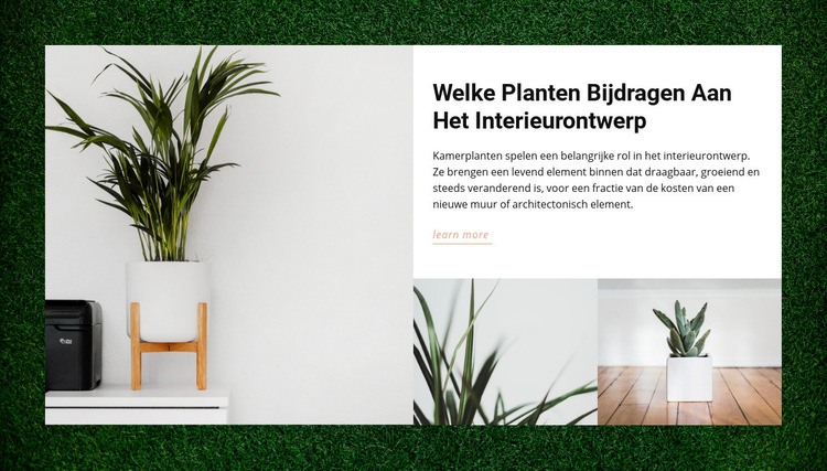 Huizen planten Website ontwerp