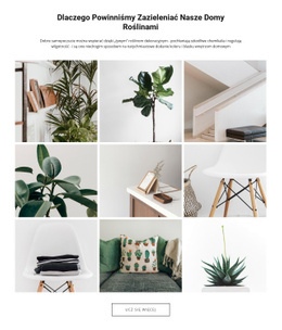 Gotowy Do Użycia Projekt Witryny Dla Rośliny DomoweEdytuj