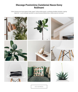 Rośliny DomoweEdytuj - Darmowy Szablon Strony Internetowej